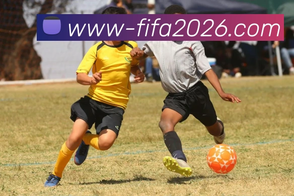 国际足联官方中文网站平台生态图